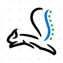 Therapy Spine Squirrel app mockup