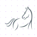 Stylish Silver Horse X post mockup