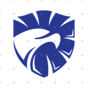 Consulting Blue Shield Eagle logo