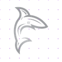 Silver Shark X post mockup