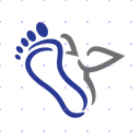 Feet Foot Humingbird